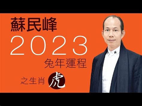 2023屬虎運勢